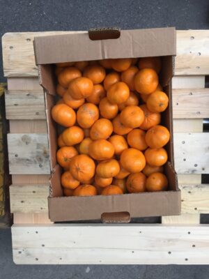 Rosa Grapefruits - 8kg